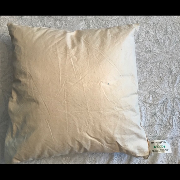 Accents Silk Throw Pillows From Singapore Down Inserts Poshmark